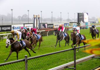 The King of the Mountain Raceday at Clifford Park Racecourse in Toowoomba, Queensland, celebrating high-stakes thoroughbred racing and one of Australia’s most iconic weight-for-age sprint events. The King of the Mountain Raceday at Clifford Park Racecourse in Toowoomba, Queensland, celebrating high-stakes thoroughbred racing and one of Australia’s most iconic weight-for-age sprint events.