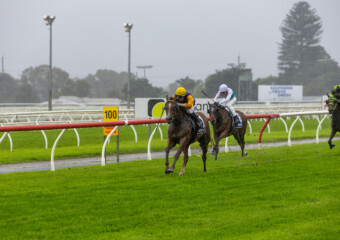 The King of the Mountain Raceday at Clifford Park Racecourse in Toowoomba, Queensland, celebrating high-stakes thoroughbred racing and one of Australia’s most iconic weight-for-age sprint events. The King of the Mountain Raceday at Clifford Park Racecourse in Toowoomba, Queensland, celebrating high-stakes thoroughbred racing and one of Australia’s most iconic weight-for-age sprint events.