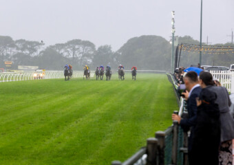 The King of the Mountain Raceday at Clifford Park Racecourse in Toowoomba, Queensland, celebrating high-stakes thoroughbred racing and one of Australia’s most iconic weight-for-age sprint events. The King of the Mountain Raceday at Clifford Park Racecourse in Toowoomba, Queensland, celebrating high-stakes thoroughbred racing and one of Australia’s most iconic weight-for-age sprint events.