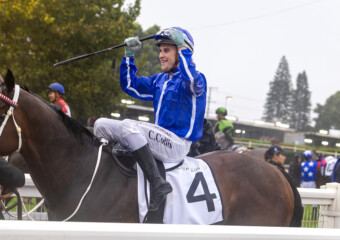 The King of the Mountain Raceday at Clifford Park Racecourse in Toowoomba, Queensland, celebrating high-stakes thoroughbred racing and one of Australia’s most iconic weight-for-age sprint events. The King of the Mountain Raceday at Clifford Park Racecourse in Toowoomba, Queensland, celebrating high-stakes thoroughbred racing and one of Australia’s most iconic weight-for-age sprint events.