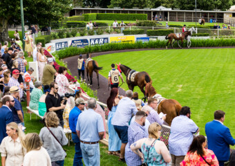The King of the Mountain Raceday at Clifford Park Racecourse in Toowoomba, Queensland, celebrating high-stakes thoroughbred racing and one of Australia’s most iconic weight-for-age sprint events. The King of the Mountain Raceday at Clifford Park Racecourse in Toowoomba, Queensland, celebrating high-stakes thoroughbred racing and one of Australia’s most iconic weight-for-age sprint events.