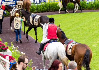 The King of the Mountain Raceday at Clifford Park Racecourse in Toowoomba, Queensland, celebrating high-stakes thoroughbred racing and one of Australia’s most iconic weight-for-age sprint events. The King of the Mountain Raceday at Clifford Park Racecourse in Toowoomba, Queensland, celebrating high-stakes thoroughbred racing and one of Australia’s most iconic weight-for-age sprint events.