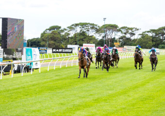 The King of the Mountain Raceday at Clifford Park Racecourse in Toowoomba, Queensland, celebrating high-stakes thoroughbred racing and one of Australia’s most iconic weight-for-age sprint events. The King of the Mountain Raceday at Clifford Park Racecourse in Toowoomba, Queensland, celebrating high-stakes thoroughbred racing and one of Australia’s most iconic weight-for-age sprint events.
