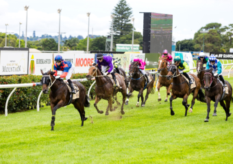 The King of the Mountain Raceday at Clifford Park Racecourse in Toowoomba, Queensland, celebrating high-stakes thoroughbred racing and one of Australia’s most iconic weight-for-age sprint events. The King of the Mountain Raceday at Clifford Park Racecourse in Toowoomba, Queensland, celebrating high-stakes thoroughbred racing and one of Australia’s most iconic weight-for-age sprint events.