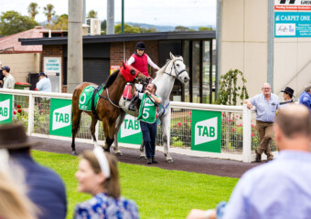 The King of the Mountain Raceday at Clifford Park Racecourse in Toowoomba, Queensland, celebrating high-stakes thoroughbred racing and one of Australia’s most iconic weight-for-age sprint events. The King of the Mountain Raceday at Clifford Park Racecourse in Toowoomba, Queensland, celebrating high-stakes thoroughbred racing and one of Australia’s most iconic weight-for-age sprint events.