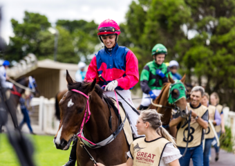 The King of the Mountain Raceday at Clifford Park Racecourse in Toowoomba, Queensland, celebrating high-stakes thoroughbred racing and one of Australia’s most iconic weight-for-age sprint events. The King of the Mountain Raceday at Clifford Park Racecourse in Toowoomba, Queensland, celebrating high-stakes thoroughbred racing and one of Australia’s most iconic weight-for-age sprint events.