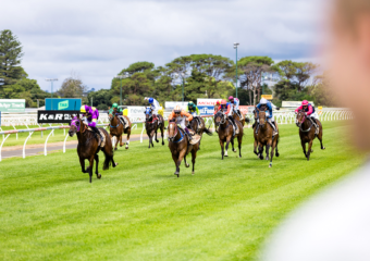 The King of the Mountain Raceday at Clifford Park Racecourse in Toowoomba, Queensland, celebrating high-stakes thoroughbred racing and one of Australia’s most iconic weight-for-age sprint events. The King of the Mountain Raceday at Clifford Park Racecourse in Toowoomba, Queensland, celebrating high-stakes thoroughbred racing and one of Australia’s most iconic weight-for-age sprint events.