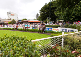The King of the Mountain Raceday at Clifford Park Racecourse in Toowoomba, Queensland, celebrating high-stakes thoroughbred racing and one of Australia’s most iconic weight-for-age sprint events. The King of the Mountain Raceday at Clifford Park Racecourse in Toowoomba, Queensland, celebrating high-stakes thoroughbred racing and one of Australia’s most iconic weight-for-age sprint events.