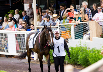 The King of the Mountain Raceday at Clifford Park Racecourse in Toowoomba, Queensland, celebrating high-stakes thoroughbred racing and one of Australia’s most iconic weight-for-age sprint events. The King of the Mountain Raceday at Clifford Park Racecourse in Toowoomba, Queensland, celebrating high-stakes thoroughbred racing and one of Australia’s most iconic weight-for-age sprint events.