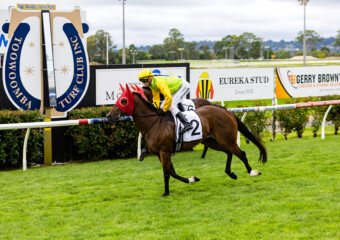The King of the Mountain Raceday at Clifford Park Racecourse in Toowoomba, Queensland, celebrating high-stakes thoroughbred racing and one of Australia’s most iconic weight-for-age sprint events. The King of the Mountain Raceday at Clifford Park Racecourse in Toowoomba, Queensland, celebrating high-stakes thoroughbred racing and one of Australia’s most iconic weight-for-age sprint events.