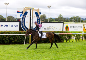The King of the Mountain Raceday at Clifford Park Racecourse in Toowoomba, Queensland, celebrating high-stakes thoroughbred racing and one of Australia’s most iconic weight-for-age sprint events. The King of the Mountain Raceday at Clifford Park Racecourse in Toowoomba, Queensland, celebrating high-stakes thoroughbred racing and one of Australia’s most iconic weight-for-age sprint events.
