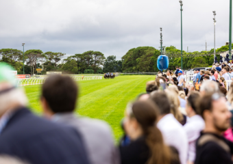 The King of the Mountain Raceday at Clifford Park Racecourse in Toowoomba, Queensland, celebrating high-stakes thoroughbred racing and one of Australia’s most iconic weight-for-age sprint events. The King of the Mountain Raceday at Clifford Park Racecourse in Toowoomba, Queensland, celebrating high-stakes thoroughbred racing and one of Australia’s most iconic weight-for-age sprint events.