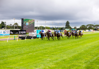 The King of the Mountain Raceday at Clifford Park Racecourse in Toowoomba, Queensland, celebrating high-stakes thoroughbred racing and one of Australia’s most iconic weight-for-age sprint events. The King of the Mountain Raceday at Clifford Park Racecourse in Toowoomba, Queensland, celebrating high-stakes thoroughbred racing and one of Australia’s most iconic weight-for-age sprint events.