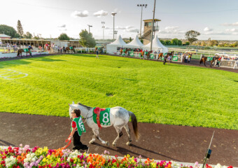 The Weetwood Handicap at Clifford Park Racecourse in Toowoomba, Queensland, showcasing elite thoroughbred racing. The Weetwood Handicap at Clifford Park Racecourse in Toowoomba, Queensland, showcasing elite thoroughbred racing.